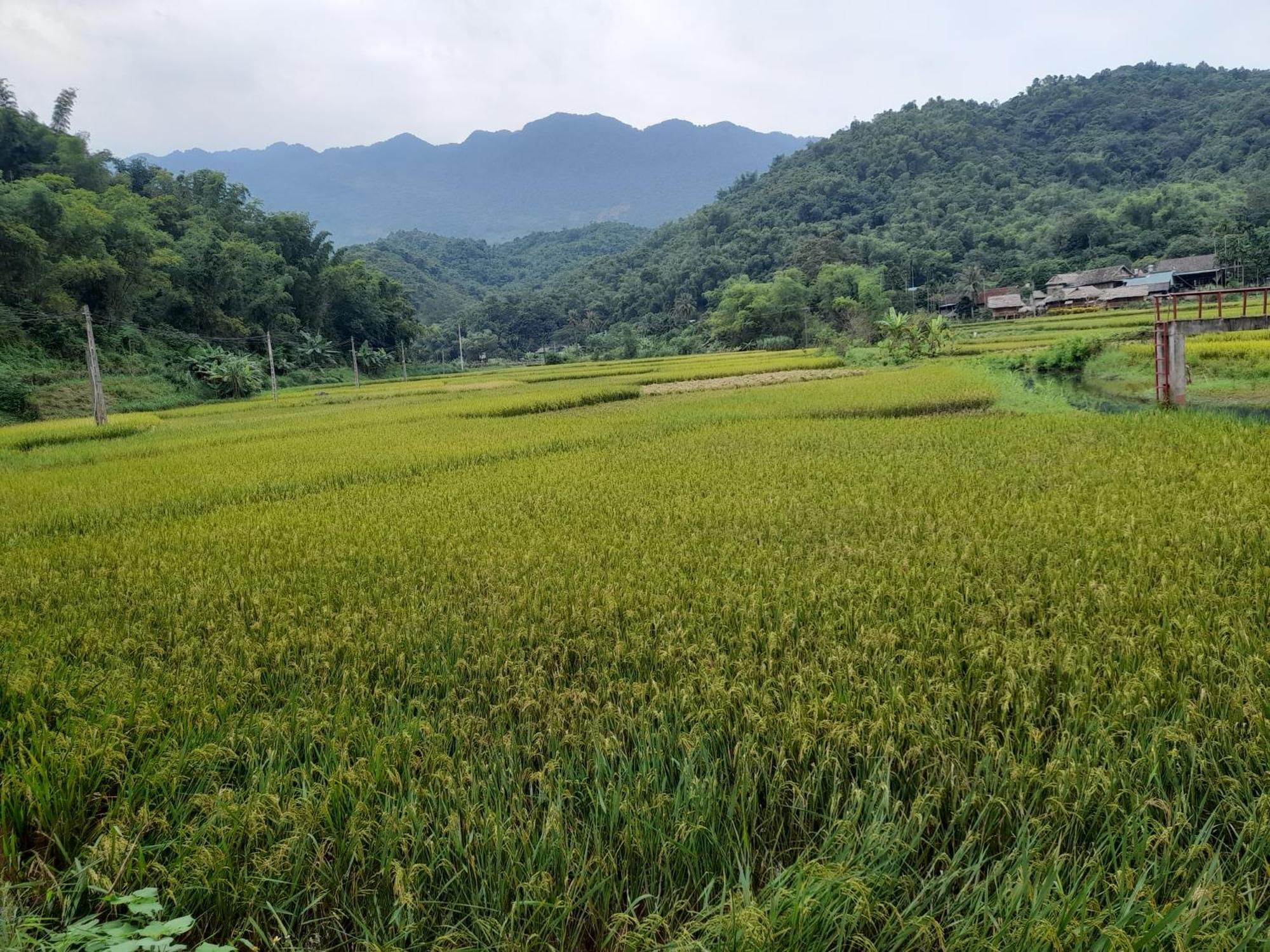Thao Ly Homestay Mai Chau Hòa Bình Exterior foto