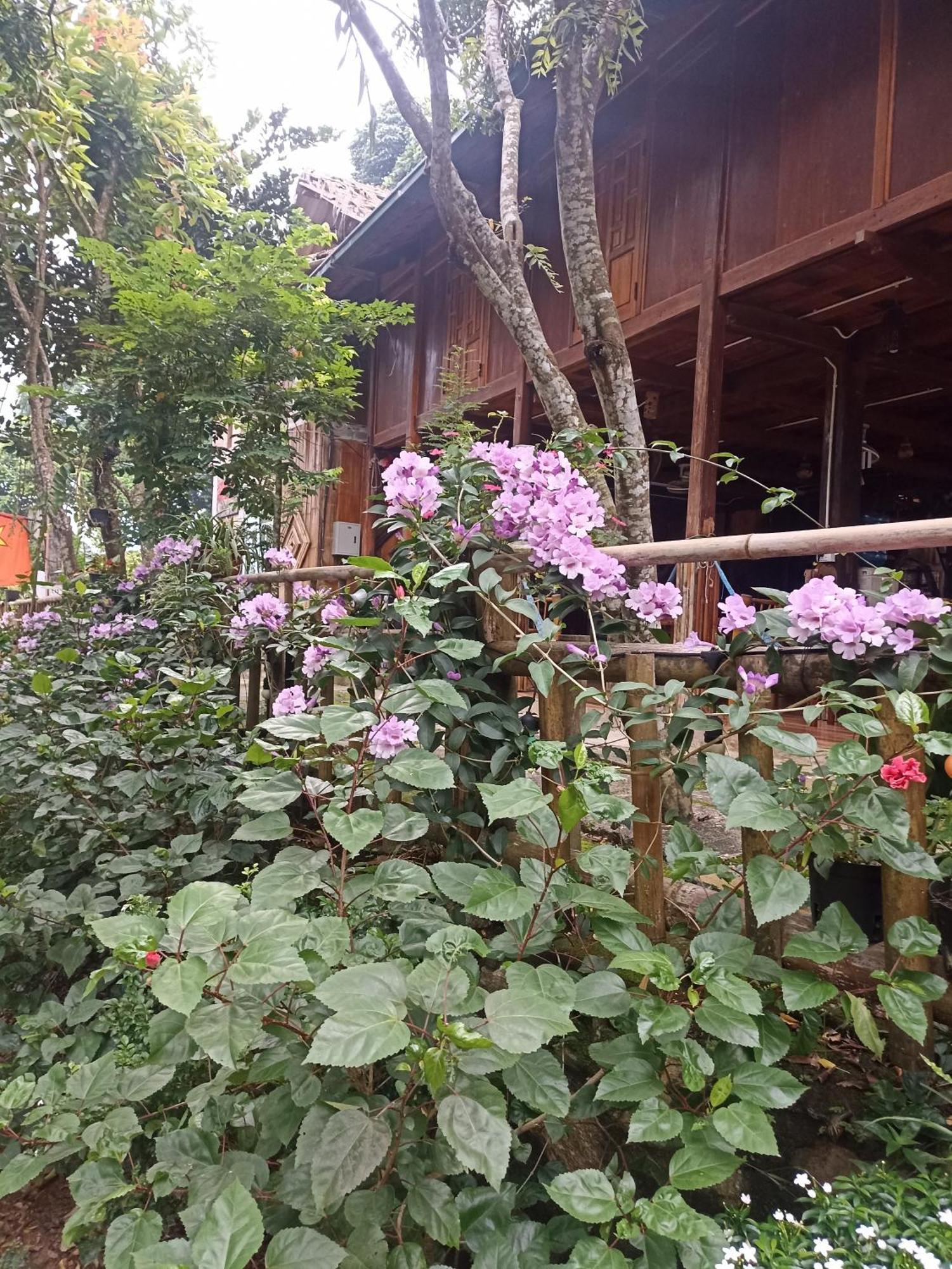Thao Ly Homestay Mai Chau Hòa Bình Exterior foto